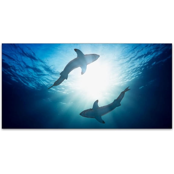 ASIASN-Fluorescent Light Cover for Classroom - 2 Pcs Shark Magnetic Fluorescent Light Covers, Ceiling Light Covers Shade Panel Coverings for Office Classroom Home Drop Ceiling, 4 X 2 Feet