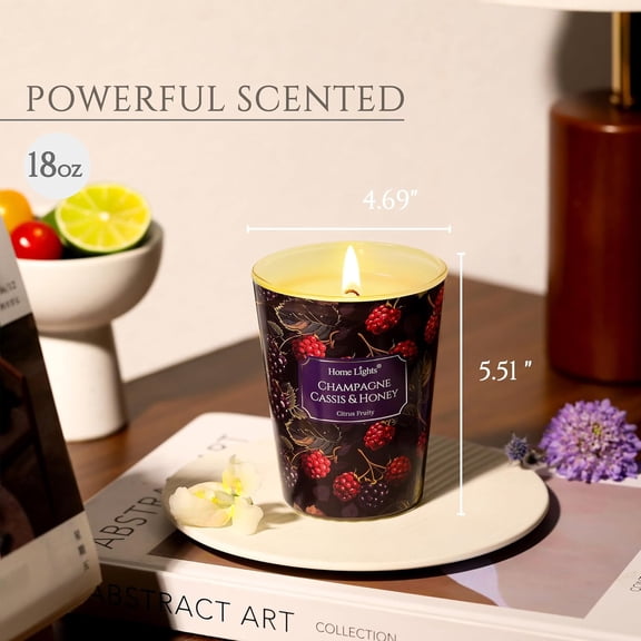 ASIASN-HomeLights Scented Candles for Women & Men, 6.7oz Candle Jars Aromatherapy Single Wick Candle, Ideal for Eclectic Mixed Styles Home Decor and Gifts, Champagne Cassis & Honey