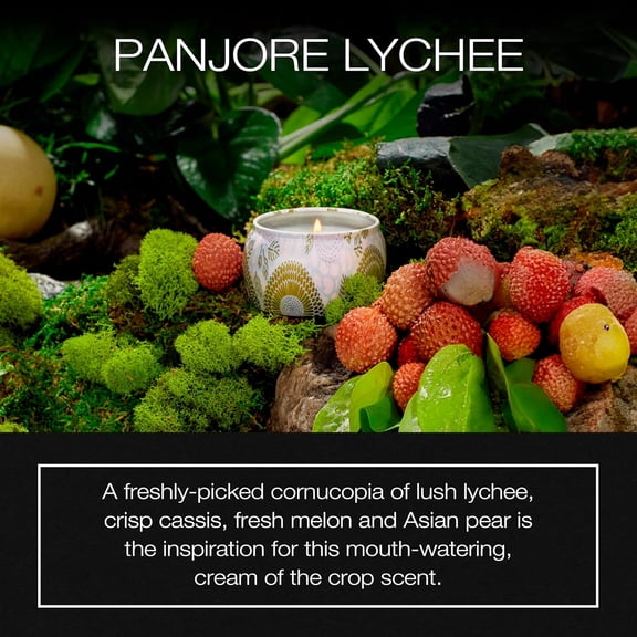 ASIASN-Panjore Lychee Petite Tin Candle , 4 Ounces