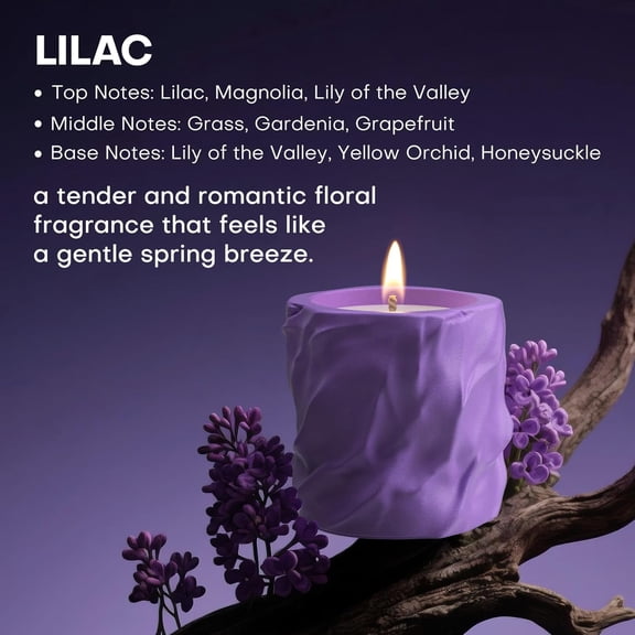ASIASN-Scented Candles for Home, Natural Soy Wax Candles, Cement Jar Luxury Aromatherapy Candles for Stress Relief, Highly Scented Housewarming Gifts for Women and Men (Lilac)