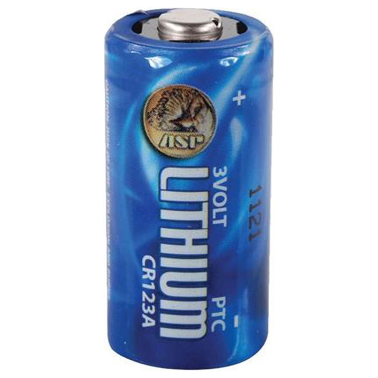 ASP Lithium Batteries Bulk Pak
