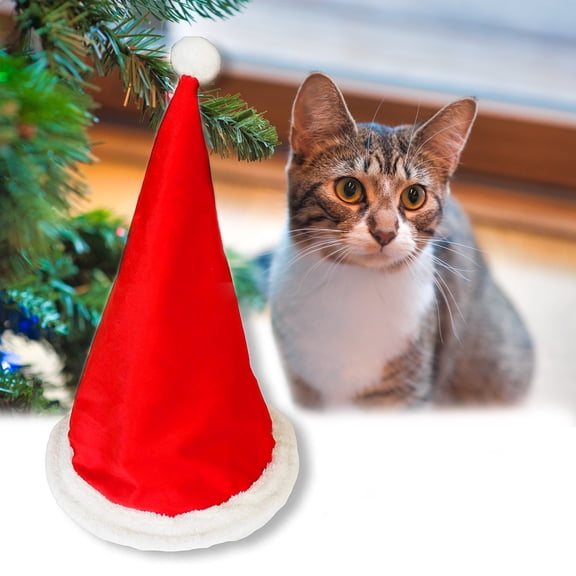 ASPCA Holiday Santa Hat Crinkle Cat Tunnel