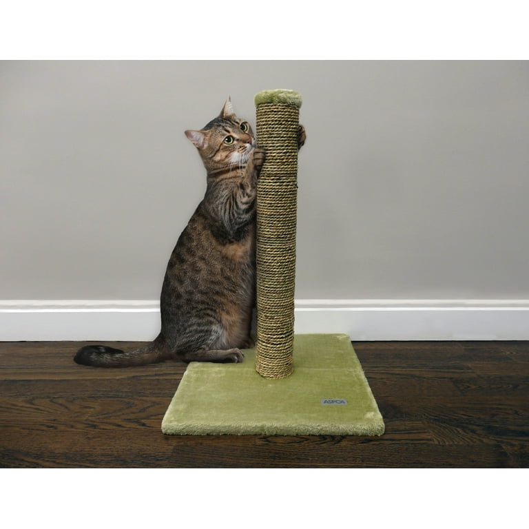 ASPCA XL Cat Sisal Scratching Post Protect Home Furnishings Files Nails Green