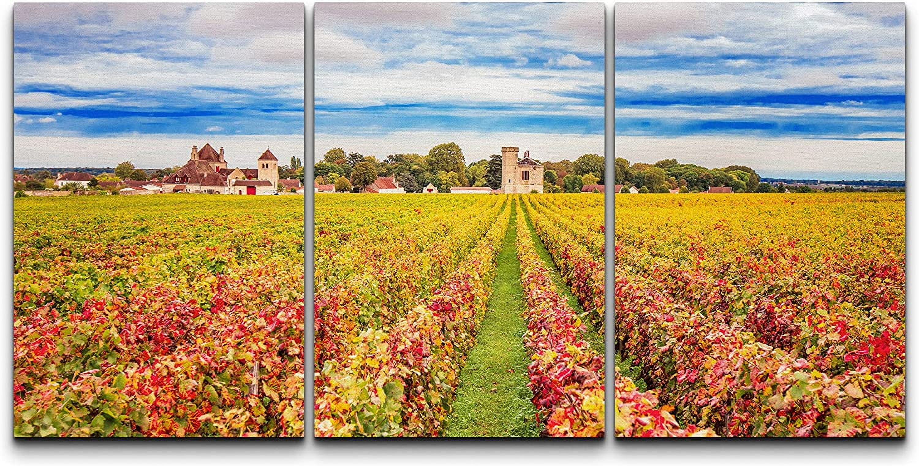 asporic-canvas-print-wall-art-set-rustic-italian-wine-grape-orchard