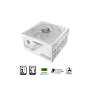 ASRock Steel Legend SL-850GW 850W 80 PLUS GOLD & Cybenetics PLATINUM Full Modular Power Supply, ATX3.1 & PCIe5.1 Ready with Dual Color 12V-2x6 Cable, White Edition