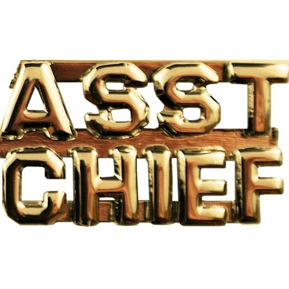 Hero's Pride ASST CHIEF Die Struck Letters, Gold Finish, 2-Row Design, 1/4" High, Pair with Clutch Backs