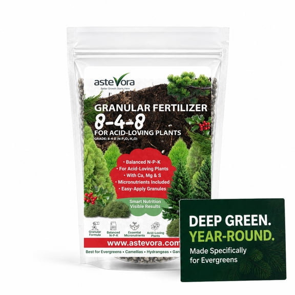 ASTEVORA Evergreen Fertilizer  All-Purpose Granular Plant Food for Outdoor Trees and Shrubs, Azaleas, Magnolias, Pines & Arborvitae  Slow-Release Formula (1 Quart)