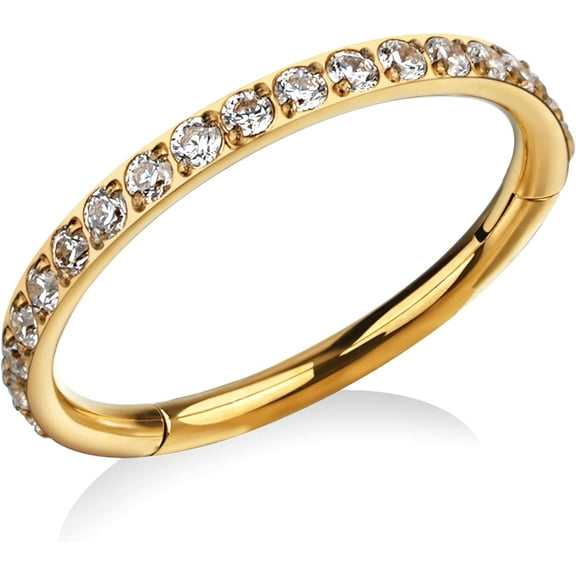 ASTM F136 Titanium Hoop Piercing Jewelry 16G 18G 6mm 8mm 10mm 11mm 12mm - Hypoallergenic Hinged Clicker for Septum, Cartilage, Conch, Helix, Rook, Tragus, Daith