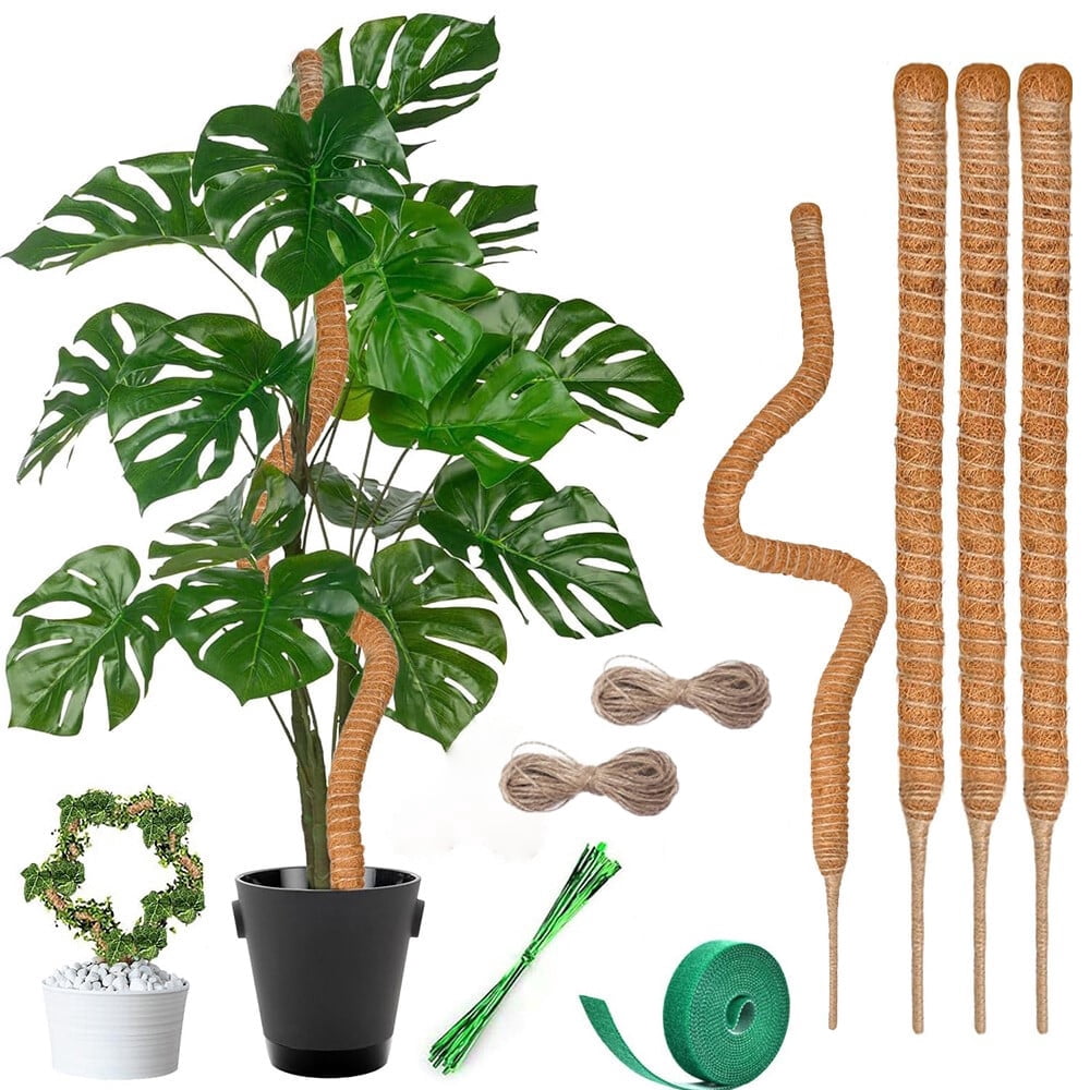 Moss Sticks for Climbing Plants Support