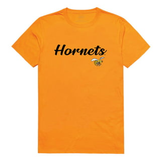 Women's Alternative Apparel Gray Alabama State Hornets Keepsake T-Shirt