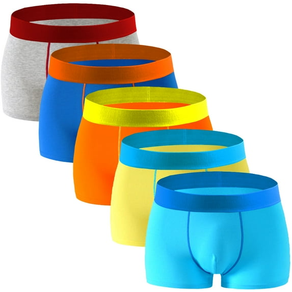 ASUDESIRE Men's Underwear Boxer Briefs Trunks 5 Pack Soft Cotton Low-rise Underpant-Wal-LiangSe-L