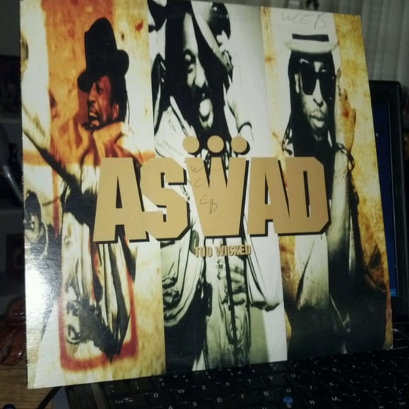 Aswad - Too Wicked (LP) (Mint (M))