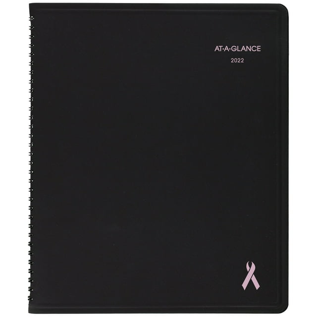 at-a-glance-2022-2023-8-x-10-weekly-monthly-appointment-book-planner