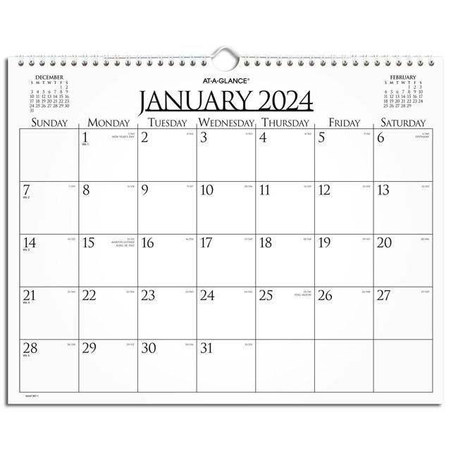 ATAGLANCE 2025 Monthly Wall Calendar, 15" x 12", Medium, Business