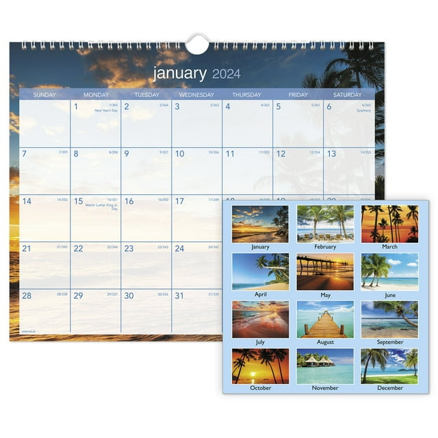 ATAGLANCE 2024 Tropical Escape Monthly Wall Calendar Medium 15 x 12