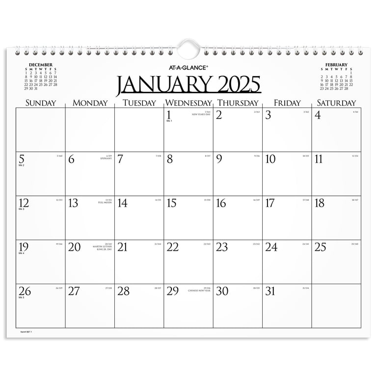 Owl Calendar 2025 – Monthly Wall Calendar, 12 Month, 18x12 Inches, Large, Multicolor Animals