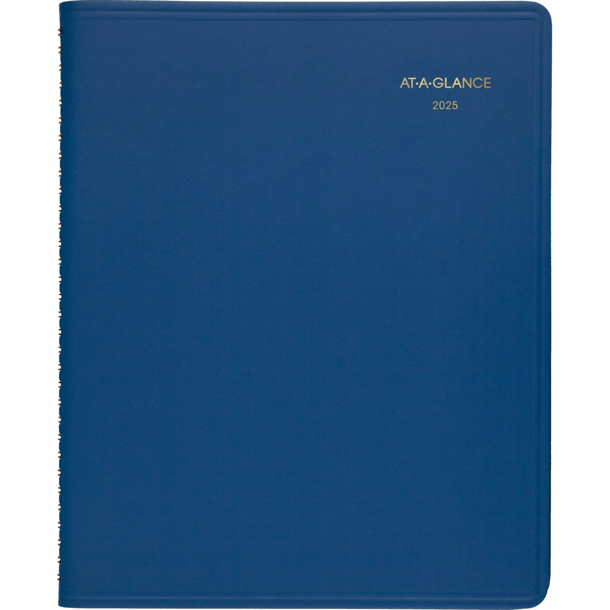 AT-A-GLANCE 2025 Monthly Planner Blue Large 9 x 11 - Monthly Planners