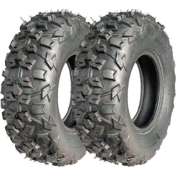 AT25x8-12 ATV Tires, 2 Pack 6 PR All Terrain UTV Tire for Side by Side, Off-Road Adventures, Snow and Trail Riding, Reinforced Sidewall Tread Armor, 6PR Tubeless