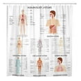 thumbnail image 1 of ATABIE Anatomy of Complete Chart Different Human Organ System Body Shower Curtain 60x72 inch, 1 of 1