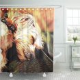 thumbnail image 1 of ATABIE Baggu Sleeping Cherub Gu Morkie Dog Angel Sleep Cute Shower Curtain 66x72 inch, 1 of 1