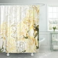 thumbnail image 1 of ATABIE Beautiful Artistic Yellow Roses Bright Elegant Filigree Flowers Pastel Shower Curtain 66x72 inch, 1 of 1