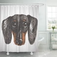 thumbnail image 1 of ATABIE Dachshund Puppy Dog Portrait Realistic Breed Cool Cute Shower Curtain 60x72 inch, 1 of 1
