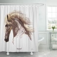 thumbnail image 1 of ATABIE Horses Wild White Stallion Horse Lover Fine Pegasus Study Shower Curtain 66x72 inch, 1 of 1