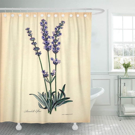 ATABIE Lavendar Vintage Botanical Lavender Gardener Botany Victorian French Antique Shower Curtain 60x72 inch