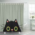 thumbnail image 1 of ATABIE Recycle Frumpy Cat Reusable Kitty Cute Funny Humor Shower Curtain 60x72 inch, 1 of 1