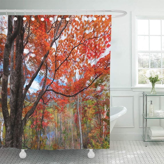 ATABIE Red Gifu Colorful Aspen Autumn Forest Orange Branch ese Shower Curtain 66x72 inch