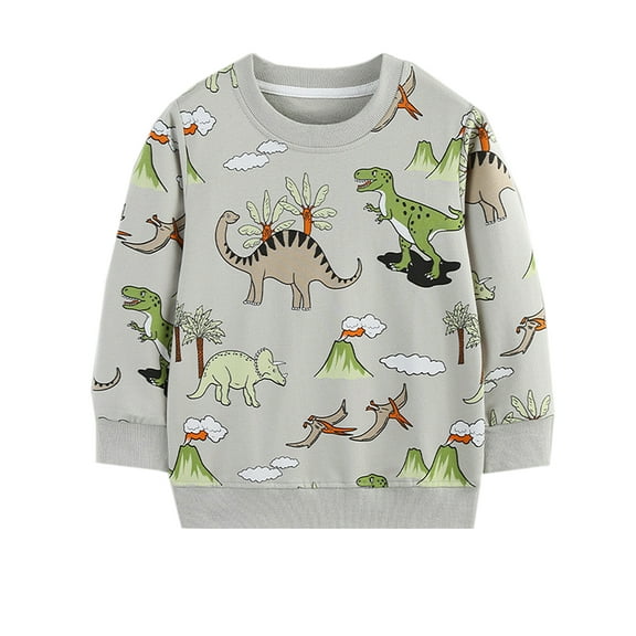 ATAIKU 2-7Y Toddler and Little Boys Dinosaur Sweatshirts Cotton Long Sleeve Pullover Crewneck Tops for Kids Boy