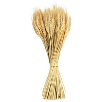 ATJIA 100 Stems Dried Wheat Sheaves, Dried Wheat Stalks, Natural Wheat Bouquet Bundle for DIY Craft, Artificial Flowers Arrangement, Dining Table Decorations, Wedding Shooting Props
