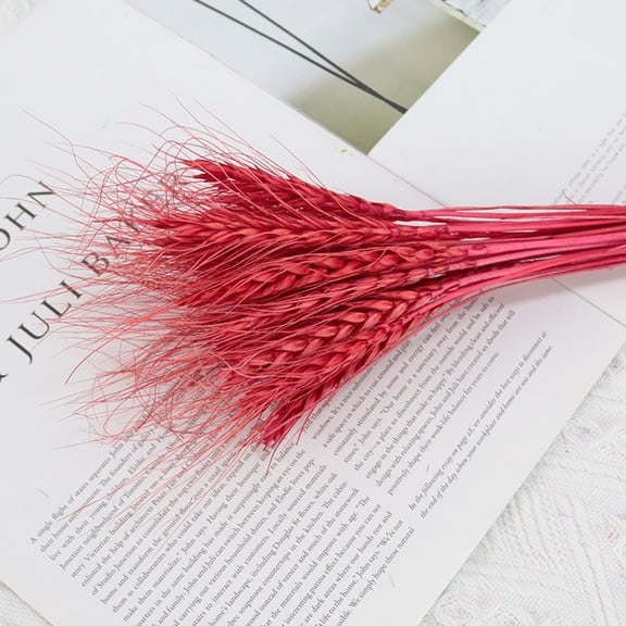 ATJIA 25 Stems 19.69 Inch Dried Wheat Sheaves, Natural Wheat Stalks Bundle Fall Arrangement for DIY Craft, Home Table, Wedding, Indoor