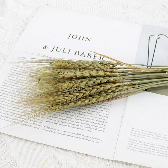 ATJIA 25 Stems 19.69 Inch Dried Wheat Sheaves, Natural Wheat Stalks Bundle Fall Arrangement for DIY Craft, Home Table, Wedding, Indoor