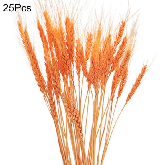 ATJIA 25 Stems 19.69 Inch Dried Wheat Sheaves, Natural Wheat Stalks Bundle Fall Arrangement for DIY Craft, Home Table, Wedding, Indoor
