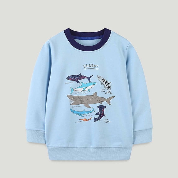 ATOGUTA Kidss Girls Boys Sweatshirts 2T-7 Long Sleeve Crewneck Pullover Toddler Kids Fall Winter Warm Shirt Sweater Tops Light Blue