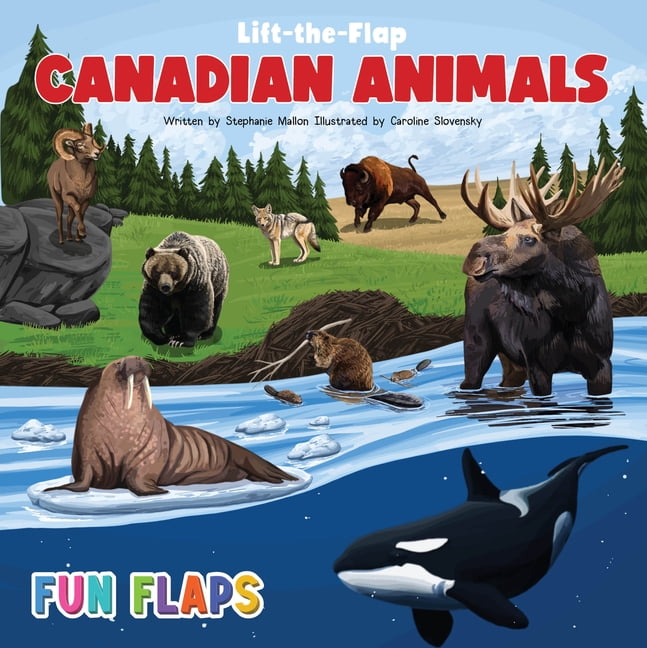 Fun Flaps Canadian Animals Fun Flaps, (Board Book)