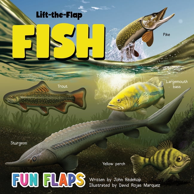 Fun Flaps Fish of North America Fun Flaps, (Board Book)