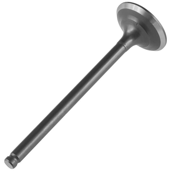 ATV Parts & Accessories Durable OEM & Aftermarket Replacement Parts Exhaust Valve for Honda 14721-HM8-A40 Exhaust Valve / TRX250 TE TM Mod-C9C-5962