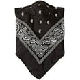 thumbnail image 1 of Atv/Utv Tek Pro Bandana Dust Mask Blk Bdmblk New, 1 of 3