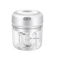 thumbnail image 1 of AUDeals Electric Garlic Chopper Mini Portable Veggie Chopper 250ml Garlic Grinder Masher Onion Chopper to Vegetable Wireless Food Processor for Fruit Meat Etc, 1 of 4