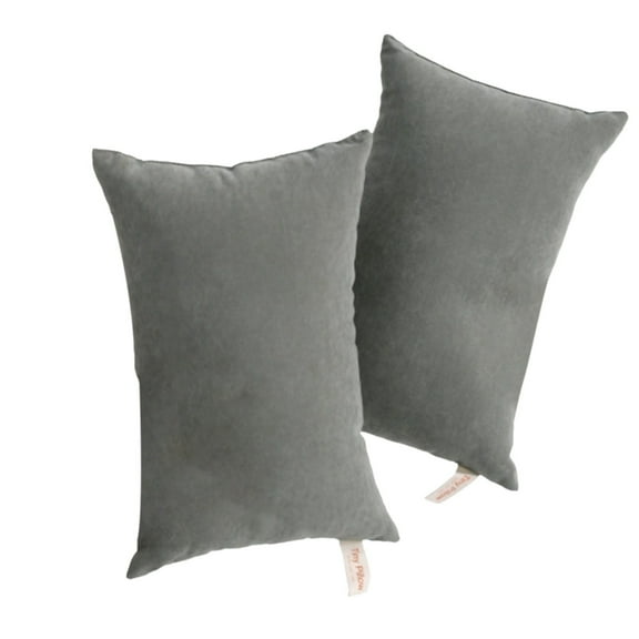 AUDeals Tiny Pillows, 2 Pack Microfiber Soft Tiny Pillows Machine Washable Travel Pillows Microfiber Mini Pillows for Travel,Soft Machine Washable Small Pillows 11" X 7"