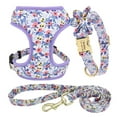 AUMIY Personalized Dog Collar Leash Harness Set Nylon Small Large Dogs