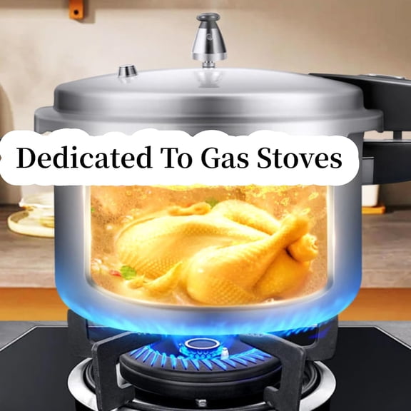 AUNMAS Stovetop Aluminum Pressure Cooker, 3L Mini for Canning Fast Cooking
