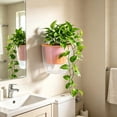 thumbnail image 1 of AUNVITO Wall Mounted Planter with Self-Watering SyStalk, Plastic Hanging Pot for Home Decor, Transparent, with Cotton Rope, for Indoor Plants, 1 Pack, 1 of 6