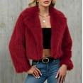 thumbnail image 1 of AUNVITO Women's Winter Faux Fur Coat Warm Turn Down Collar Long Sleeve Solid Outerwear Jacket Casual Party Daily Wear, 1 of 7