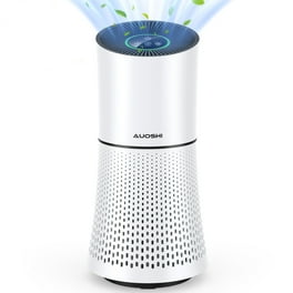 Air purifier for smoke walmart hotsell