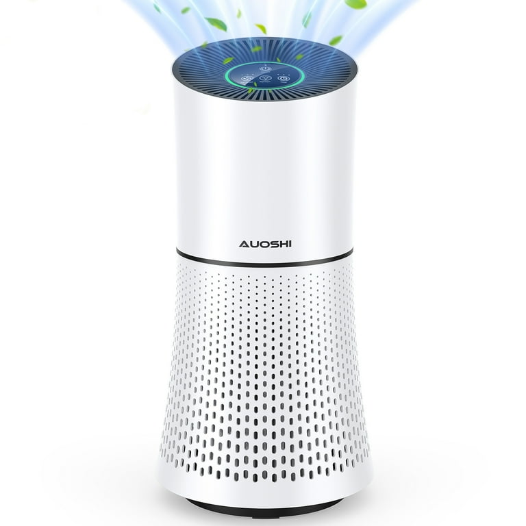 Hepa filter odor removal top