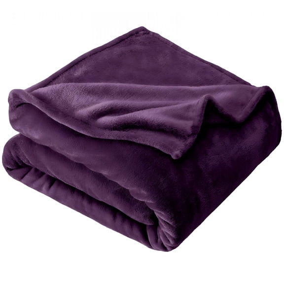 AUQ 2026 New 1 Pc Bedding Fleece Blanket Luxury Anti-Static Fuzzy Soft Microfiber Bed Blanket Fleece Blankets Bed Blanket Soft Lightweight Plush Fuzzy Cozy,27.56 X 39.37 Inch,Dark Purple