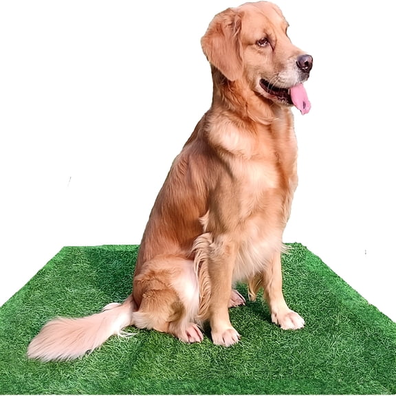 AUQ 2026 New 2' X 4' Artificial Grass, Turf for Dogs Potty Training, Reusable Fake Grass Pee Pads for Dogs